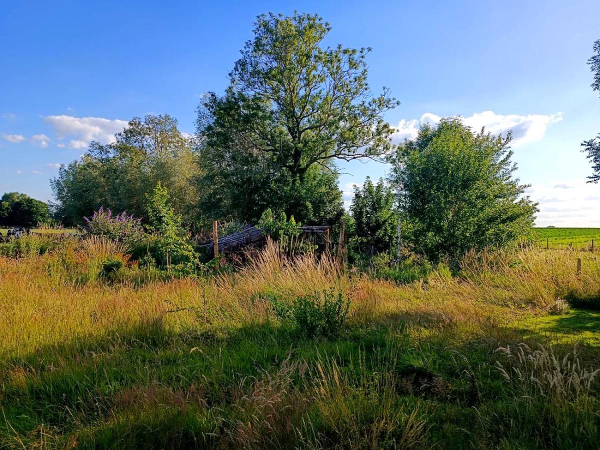 Au Pied Du Trieu, The Glamping Experience Hotel Labroye Bagian luar foto